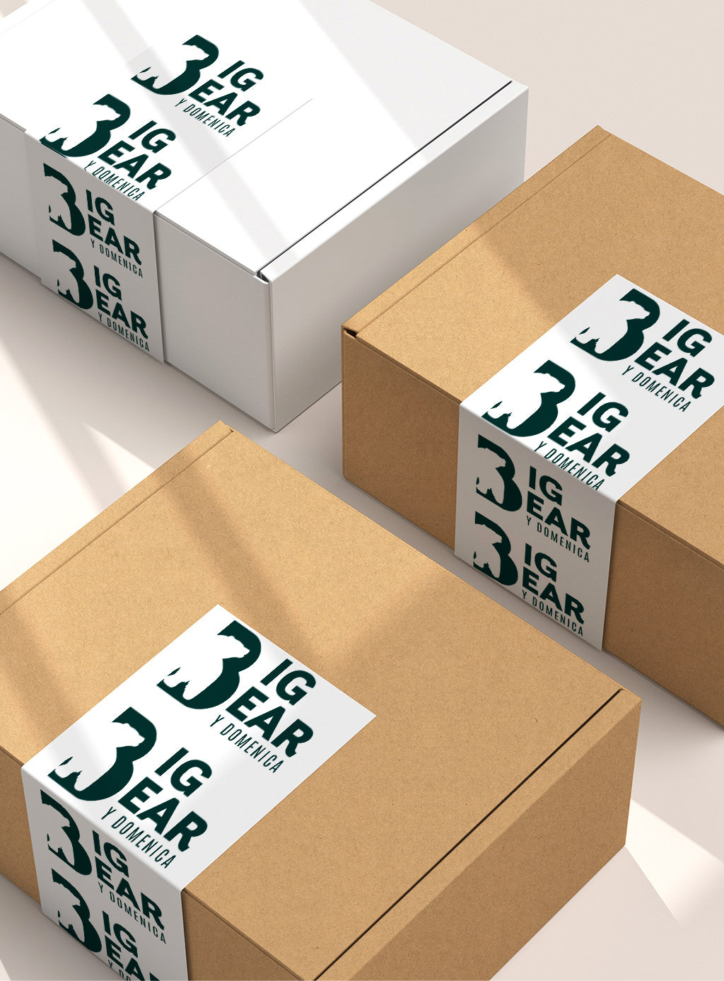 EMPAQUES - (cajas de cartón biodegradable)