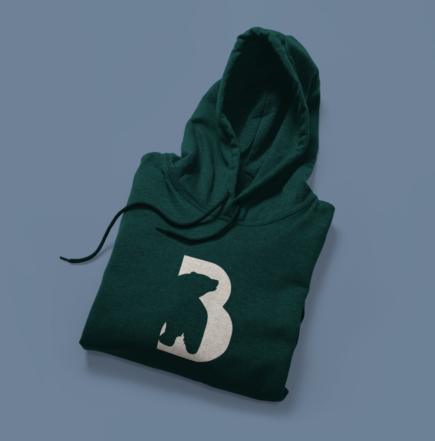 HOODIES - (sacos de bolsilo y capucha)